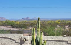 877 E LANCASTER Circle, Florence, AZ 85132