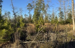 PR 6148, Jasper, TX 75951