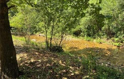 Highway A, Belleview, MO 63623