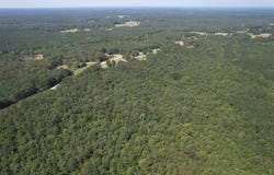 State Hwy 355, Etta, MS 38627
