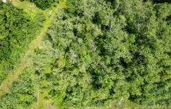 6330 S RIVER ROAD, CHEBOYGAN, MI 49721