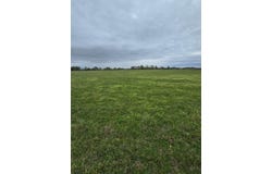 Adams Lane, Rogersville, MO 65742