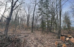 7780 N Harrison Avenue, Harrison, MI 48625