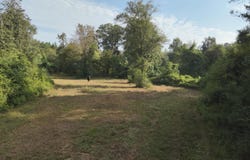 220 Ms-43, Oak Vale, MS 39656