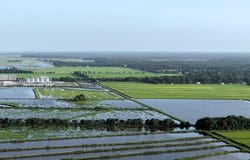 3670 E Stagg Avenue, Basile, LA 70515