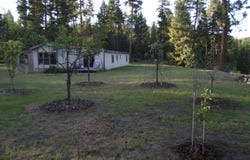 2361 SCOTT Rd, RICE, WA 99167