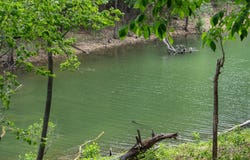 27278 Timber Springs Road, Shell Knob, MO 65747
