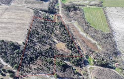Brainard Road, Ellington, NY 14747