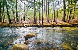 922 Weld Road, Wilton, ME 04294