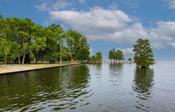 3226 Francis Marion Boulevard, Summerton, SC 29148
