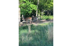 Arbroath Lane lot: 6, Bella Vista, AR 72715
