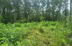 617 Red Ash Rd, SUGAR TREE, TN 38380