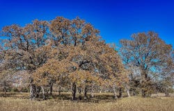 TBD State Highway 71, La Grange, TX 78945
