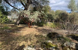 123 Quartz Mountain, Coarsegold, CA 93614