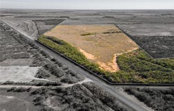 321 County Road 717, McCaulley, TX 79534