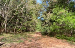 Circle Drive, Monroeville, AL 36460