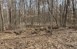 1108 Oakview Lane, Genoa, IL 60135