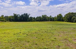 Eagle Court Rd, Diana, TX 75640