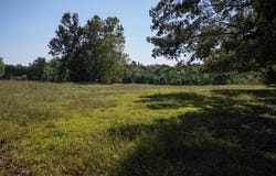 630 Schultz Mt. Road, Meherrin, VA 23954