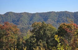 Copper Ridge Road, Eidson, TN 37731