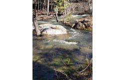 Road 225, North Fork, CA 93643