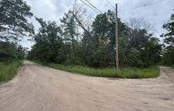 VL Princeton Drive, Baldwin, MI 49304