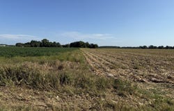 Mayhall Rd, Rayville, LA 71269