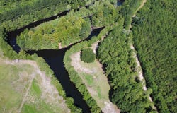 Hardwick Rd., Nichols, SC 29581