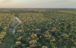 1305 FM 799, George West, TX 78022