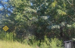 Highway 95, Abbeville, AL 36310