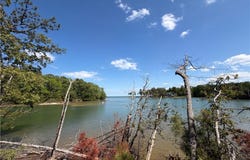 Taylor's Beach Rd, Reedville, VA 22539