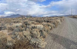 62 Acciari Road, Smith, NV 89430