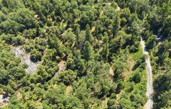 Thunderbolt Drive, Sonora, CA 95370