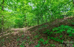 46 Widgeon Way, Whittier, NC 28789