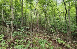 Brooks Mill Rd lot: 6, Glade Hill, VA 24092