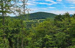 433 Wightman Hill Rd, Richford, VT 05476