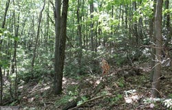 LOT 320 RIDGE RUN, CLAYSBURG, PA 16625
