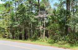 Joe Mack Smith Street, Panacea, FL 32346