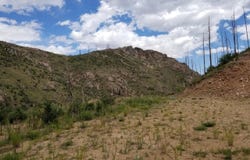 151 Black Mountain Ct, Livermore, CO 80536