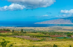 182 Hoomaikai Pl, Kula, HI 96790