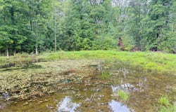 Dump Rd, Sugar Grove, PA 16350