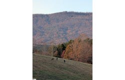 River Park Lane, Mill Spring, NC 28756