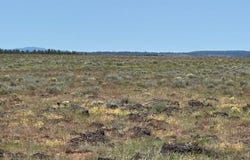 Rim Drive, Sprague River, OR 97639