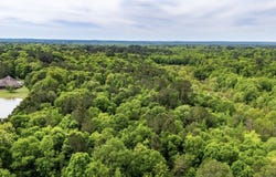 white oak road, Big Sandy, TX 78413