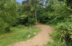 LETTYS Lane, MIFFLIN, PA 17058