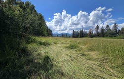 NKA Highway 20, Cusick, WA 99119