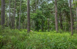 5772 PR 2065, Centerville, TX 75833