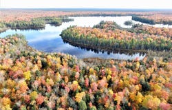 Nevins Lake Drive, Shingleton, MI 49884