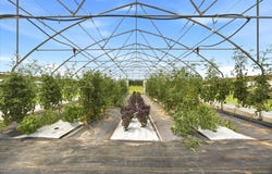 4020 FM 515, Emory, TX 75440