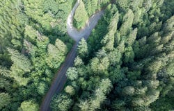 N Dubois Rd, Ariel, WA 98603